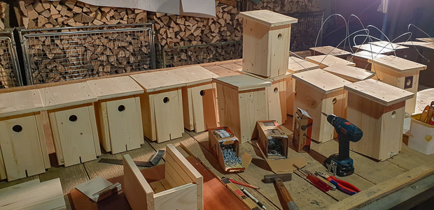 Nistkästenbau 1