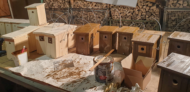 Nistkästenbau 2